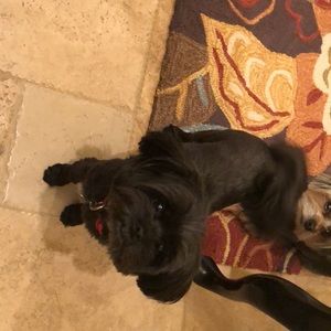 Meet your Posher, Lanny